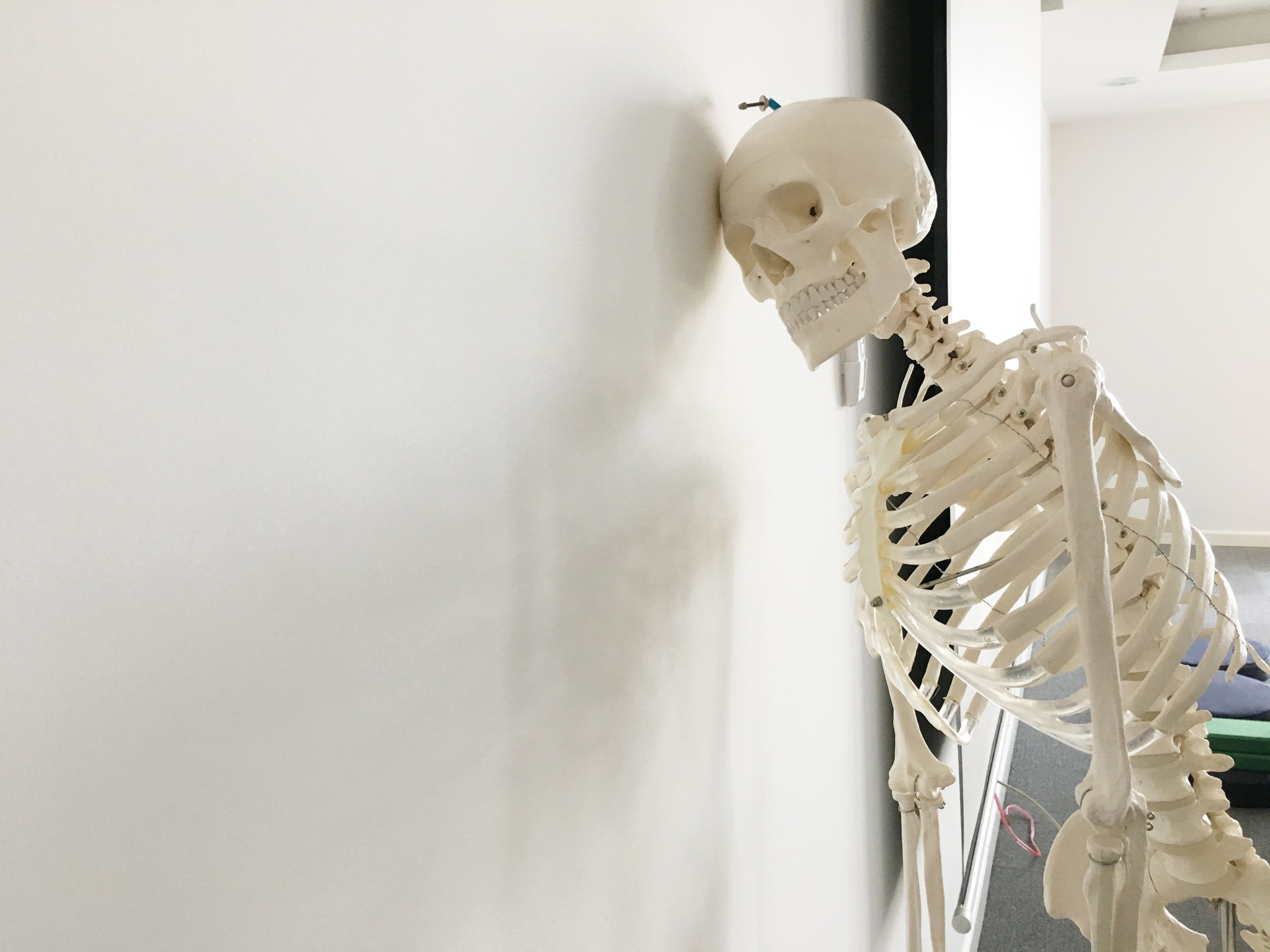Anatomia e Fisiologia: Conhecendo o Corpo Humano