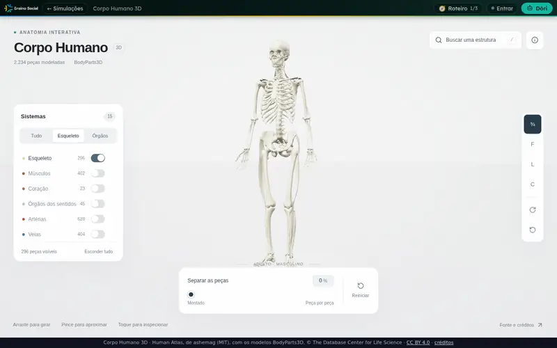 Esqueleto do Corpo Humano 3D girando da vista de frente para o perfil ao arrastar o fundo