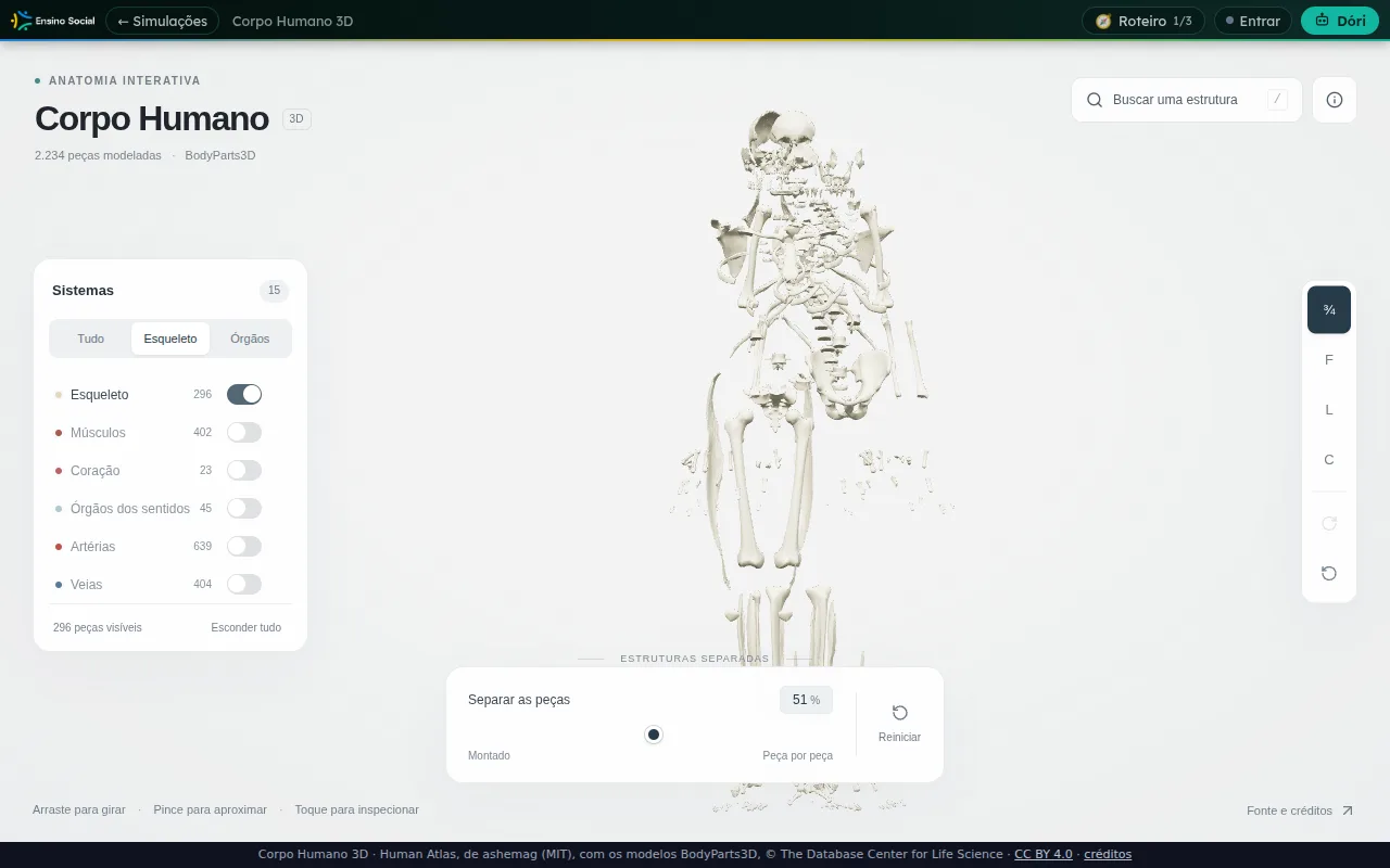 Ossos soltos no ar do Corpo Humano 3D com a barra Separar as peças em 51% e o aviso ESTRUTURAS SEPARADAS