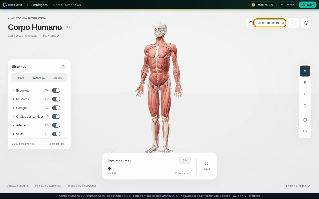 Corpo remontado do Corpo Humano 3D após o Reiniciar, com o campo Buscar uma estrutura destacado em amarelo