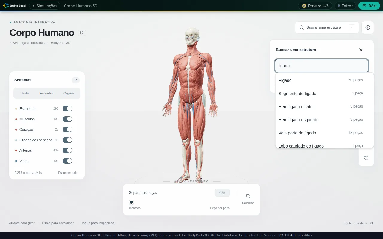 Lista de resultados da busca por figado no Corpo Humano 3D, com Fígado 60 peças no topo