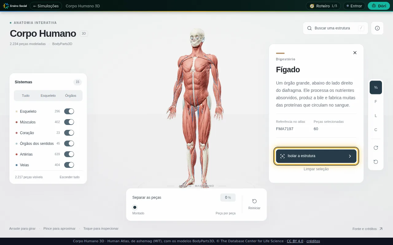 Botão escuro Isolar a estrutura destacado em amarelo dentro do cartão do Fígado