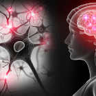 Curso de Neuropsicanálise