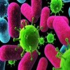 Curso de Microbiologia Geral
