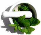 Curso de Fitoterapia