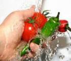 Curso de Higiene e Manipulação de Alimentos