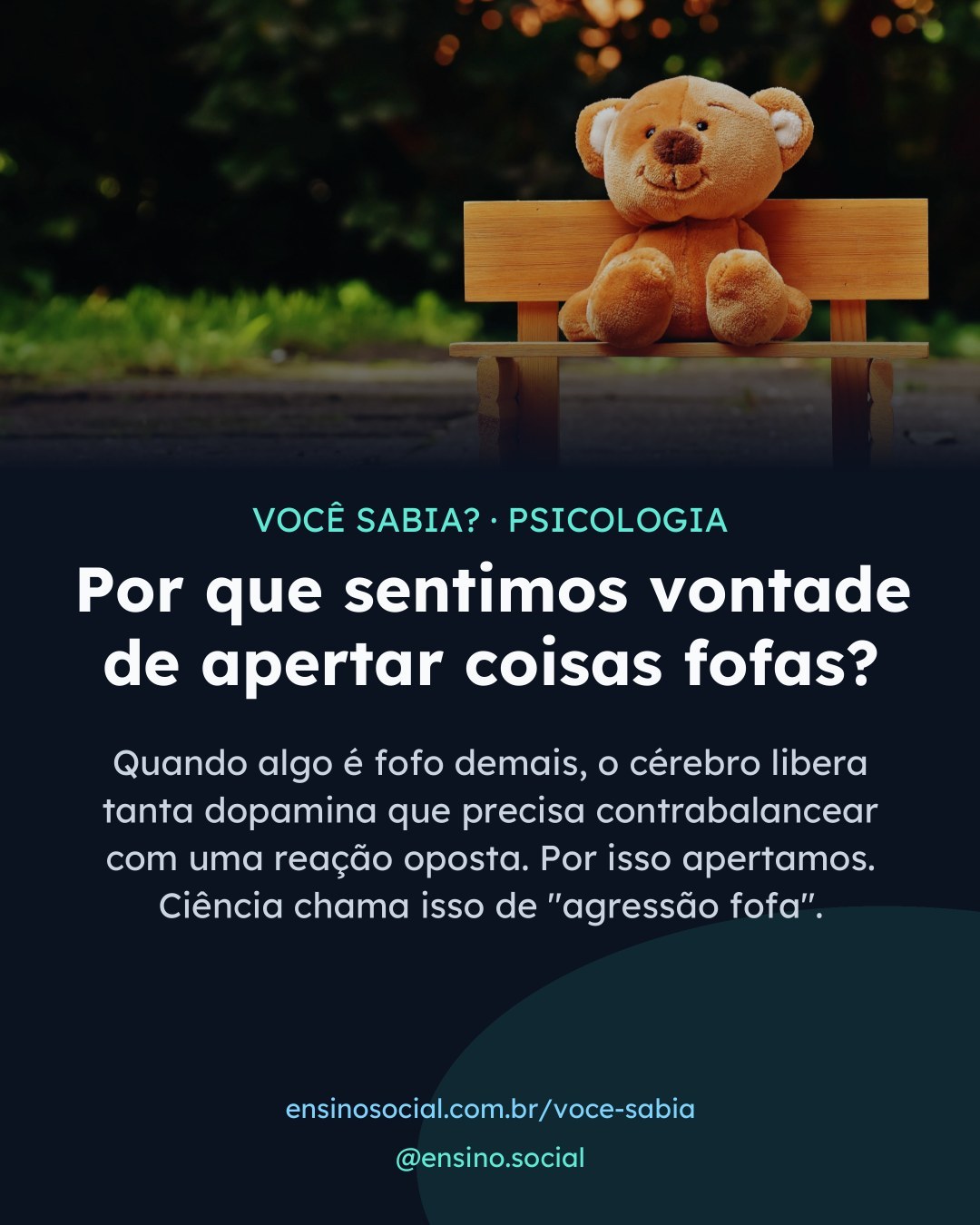 Você já quis apertar um filhote com força? A ciência explica.

Esse impulso tem nome: agressão fofa, ou cute aggression. Quando vemos algo extremamente adorável, o cérebro libera dopamina em quantidade tão alta que precisa reagir com uma emoção oposta para não ficar sobrecarregado, igual a chorar de felicidade. Um estudo de Yale mostrou que entre 50% e 75% das pessoas relatam essa sensação, e nenhuma delas tem tendência agressiva real.

Veja a explicação completa em ensinosocial.com.br/voce-sabia 🧠