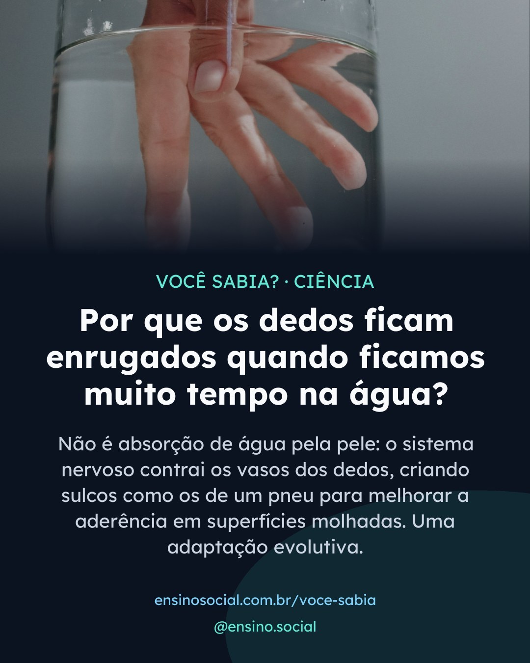 Seus dedos enrugam na água por ordem do cérebro, não por acidente 🧠

Pesquisas mostram que as rugas nos dedos são uma resposta ativa do sistema nervoso, não simples absorção de água. Os sulcos funcionam como os de um pneu, melhorando a aderência em superfícies molhadas. Em 2011, o neurocientista Mark Changizi comprovou que o padrão é idêntico a canais de drenagem naturais. Quem tem dano nos nervos das mãos simplesmente não enruga, provando que o cérebro controla tudo.

Veja a explicação completa em ensinosocial.com.br/voce-sabia 👇