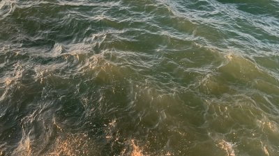 Por que a cor do mar varia entre o azul e o verde?