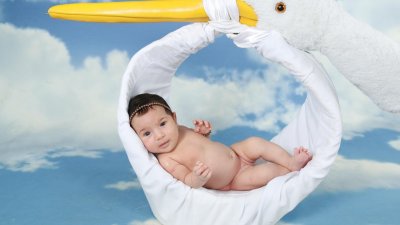 Como e onde surgiu a lenda de que as cegonhas trazem os bebês?