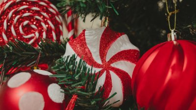 Qual é a origem da árvore de Natal?