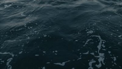 Por que a água do mar é salgada?
