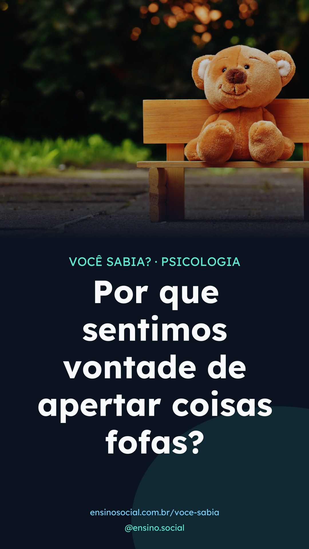 Por que sentimos vontade de apertar coisas fofas?